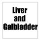 Liver and Gallbladder